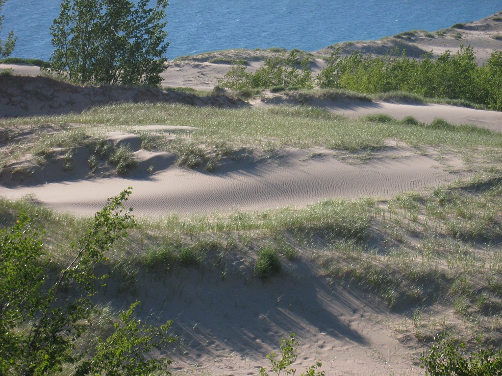 Michigan TC 2010-07 0825.jpg - Ripples in the sand created by the wind.